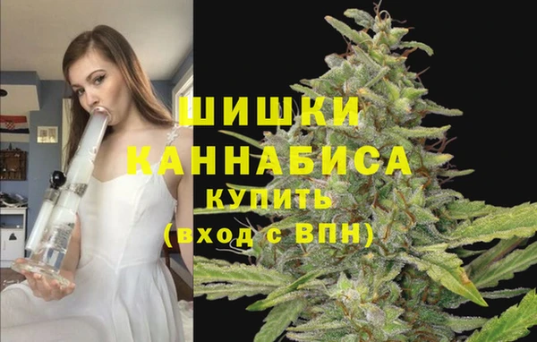 Альфа ПВП Костерёво