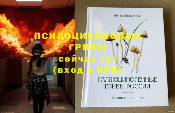 Альфа ПВП Костерёво