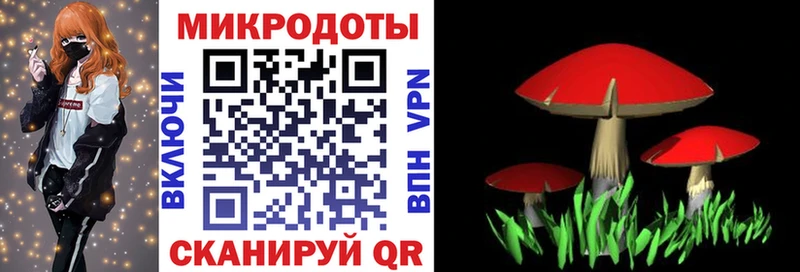 Псилоцибиновые грибы MAGIC MUSHROOMS Купить Кукмор
